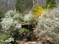 And for a winter view